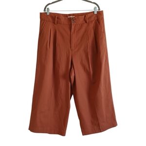 NEW Madewell Harlow Pants Women's 16P Burnt Orange Wide Leg Pleated Chino Baggy